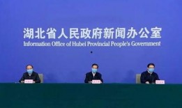 湖北青年爆料新闻视频大全,新闻视频大全揭秘社会热点与民生关切