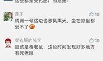 怎样爆料给今日关注,如何向今日关注成功爆料