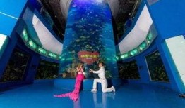 海底世界cf最新爆料