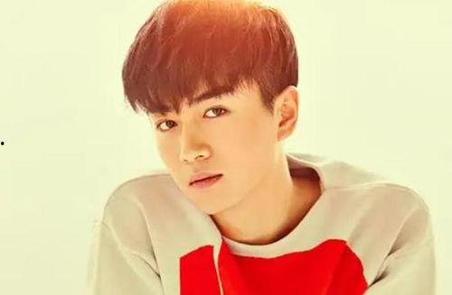 爱豆吃瓜娱乐酱陈晓,爱豆吃瓜娱乐酱，揭秘娱乐圈幕后故事