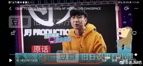 吃瓜娱乐圈周杰伦视频下载,揭秘娱乐圈幕后故事