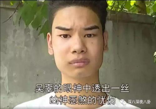 穿书娱乐圈沙雕搞笑吃瓜,穿书成娱乐圈沙雕搞笑吃瓜达人